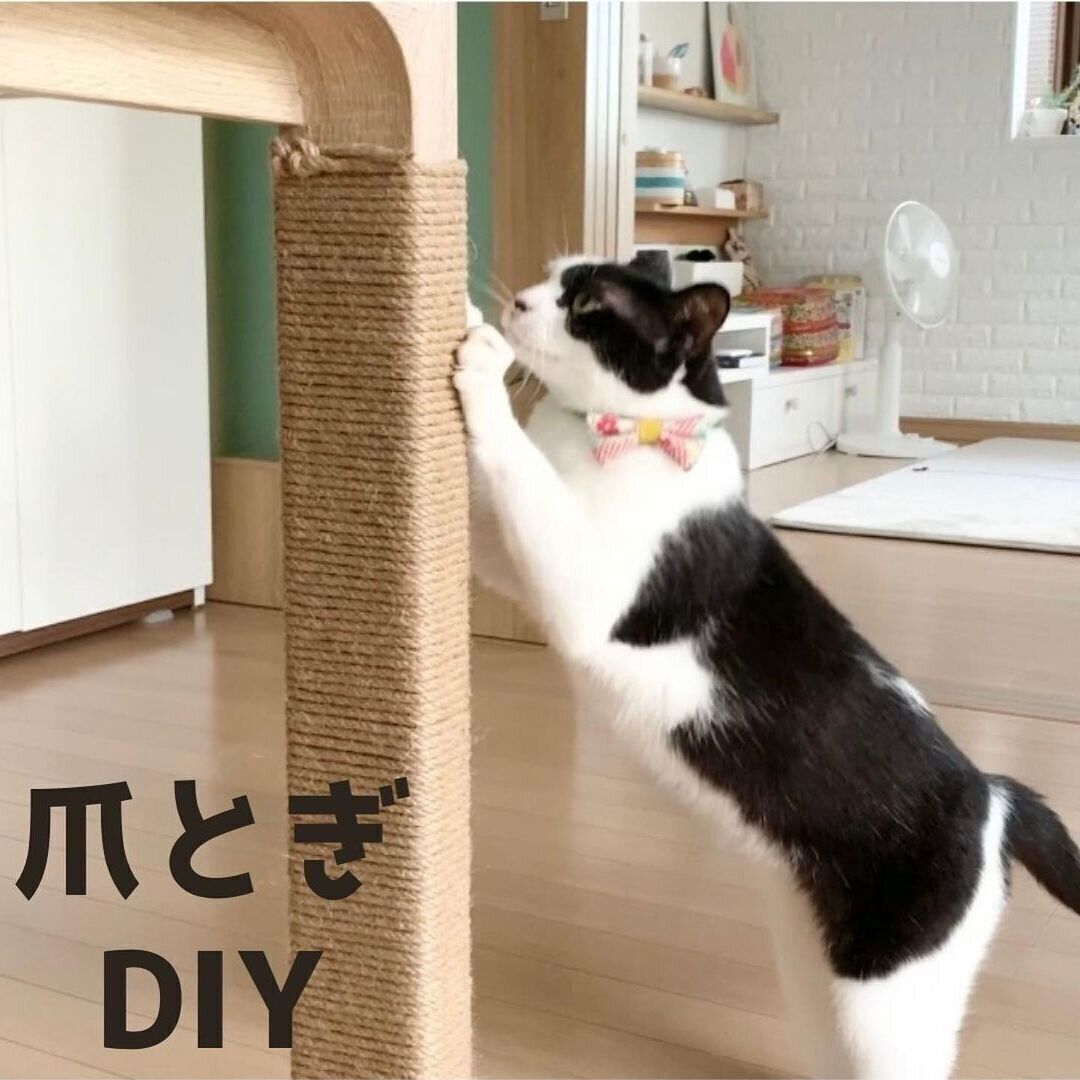 家具を使った爪とぎスペース