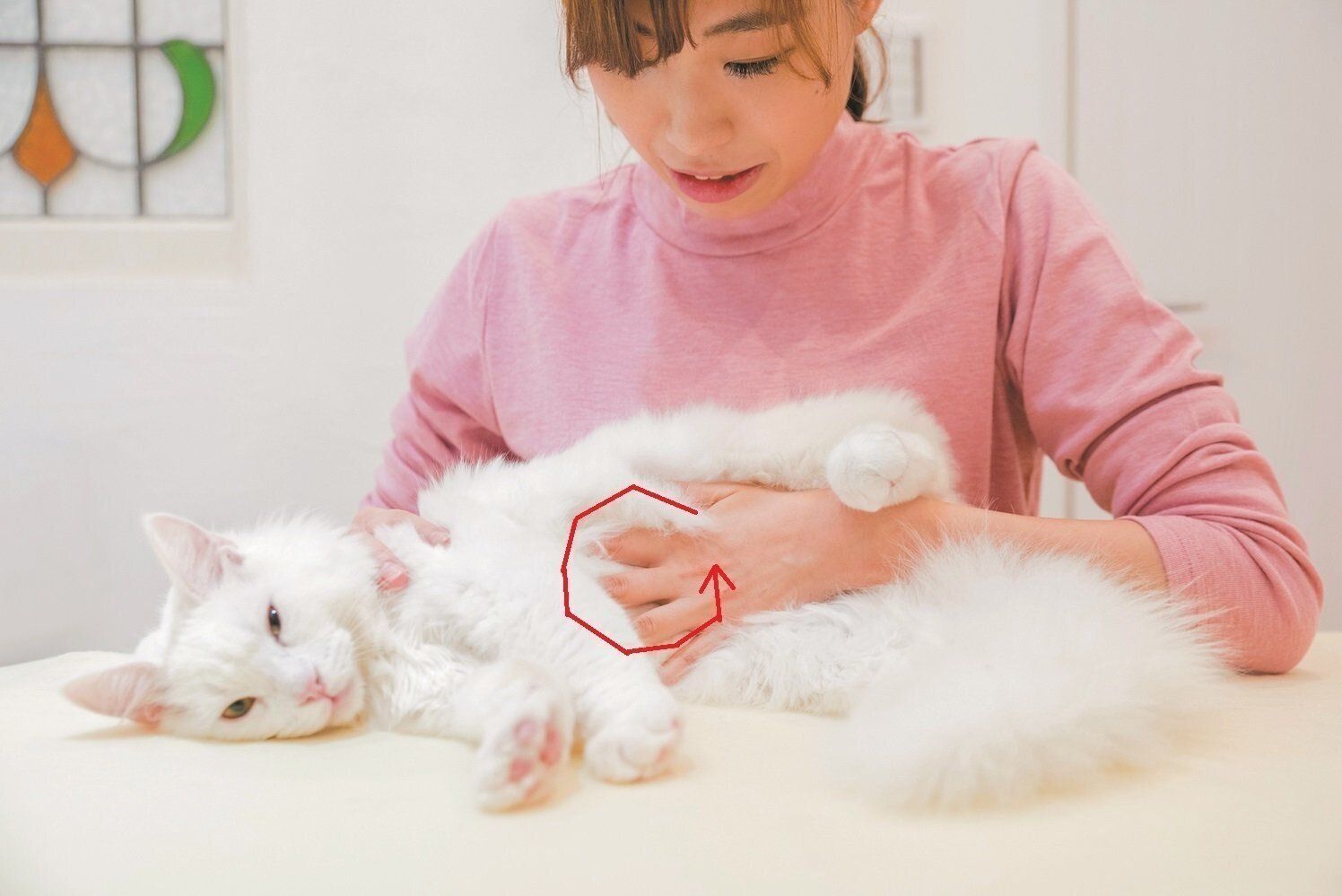 撮影／中川文作