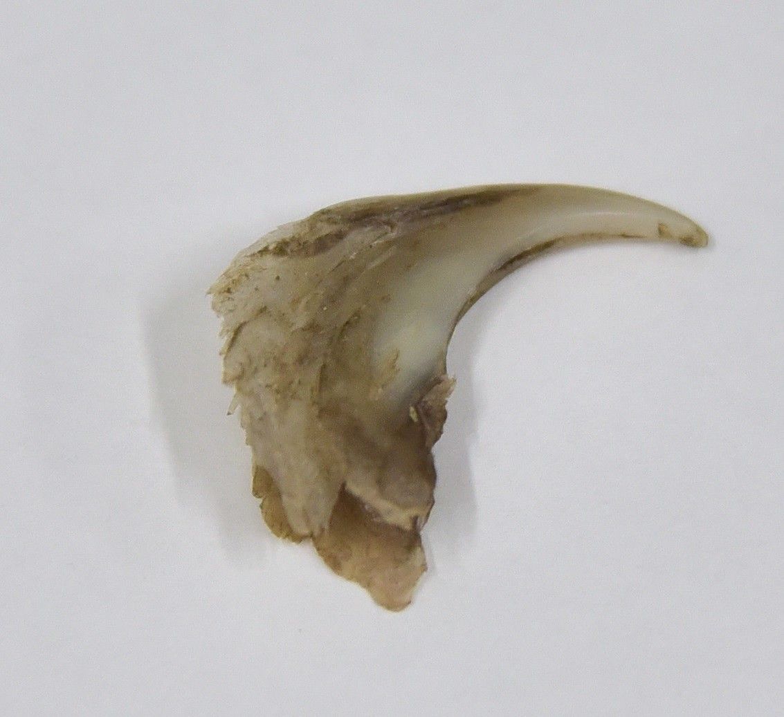 写真提供／アドベンチャーワールド