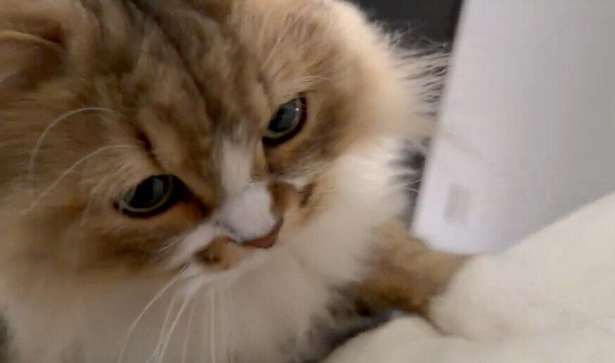 布団を掘るみぬ次郎くん