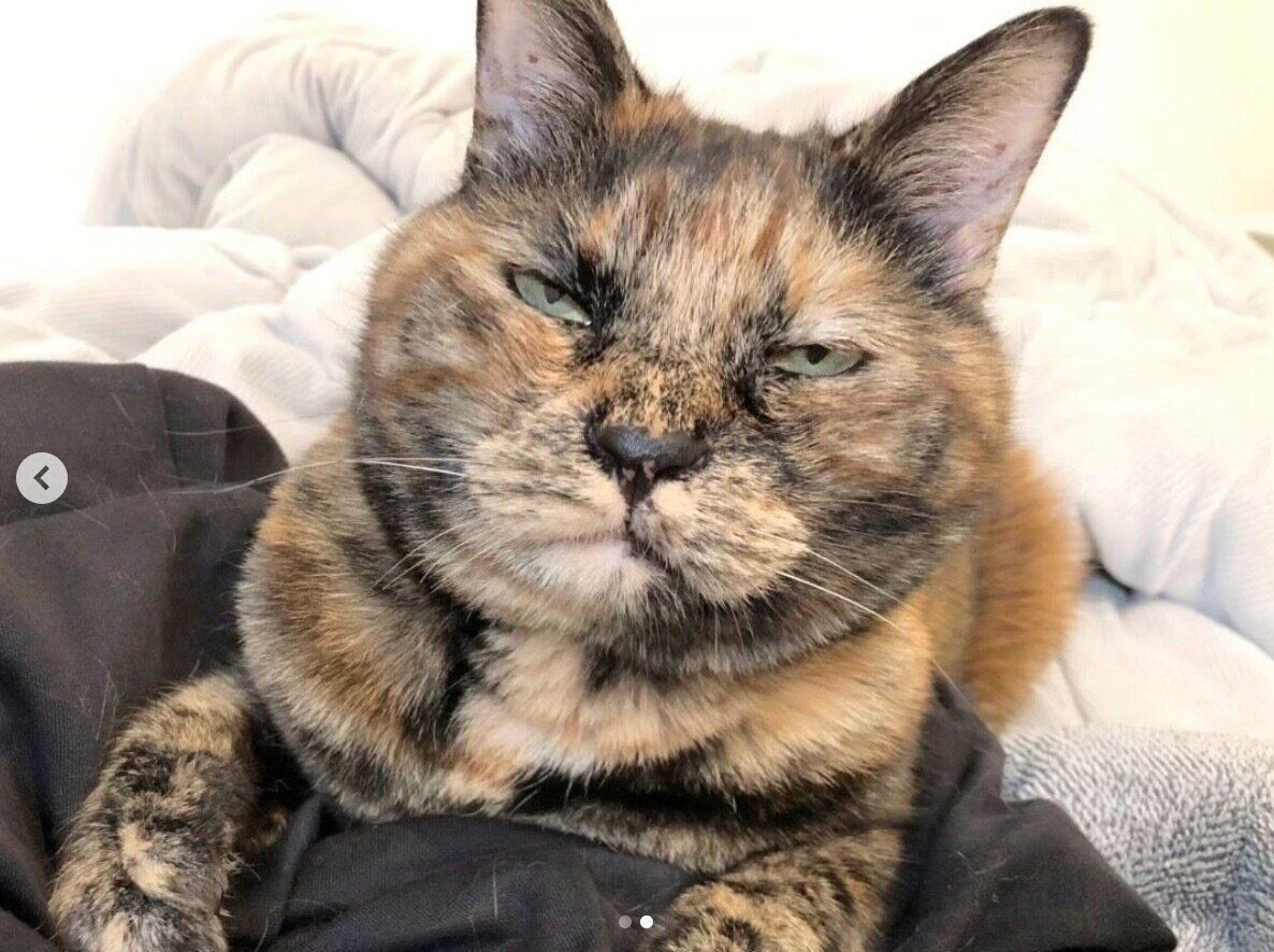 ムッとした表情をするぼんちゃん