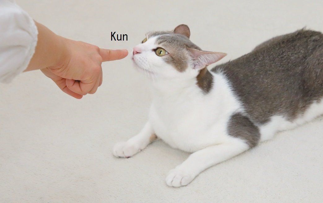 撮影／尾﨑たまき