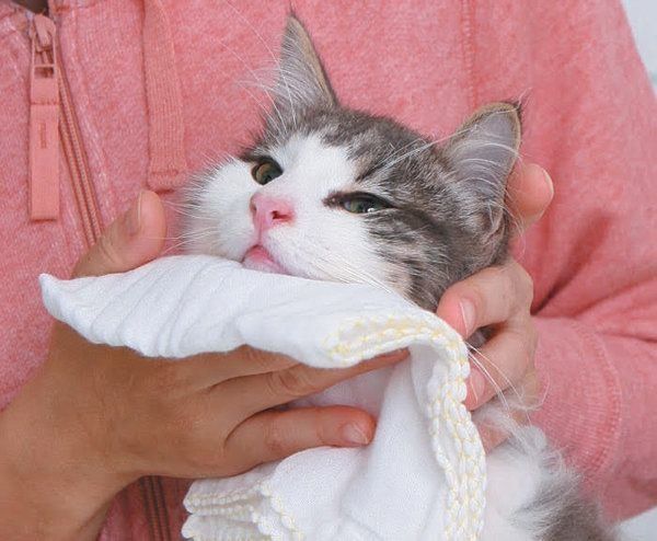 やりすぎると危険なお手入れ