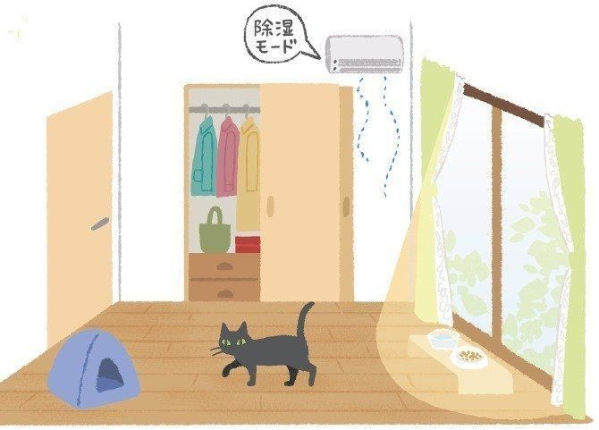 イラスト／片山智恵