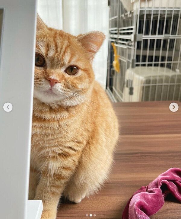 見つめるえだまめくん