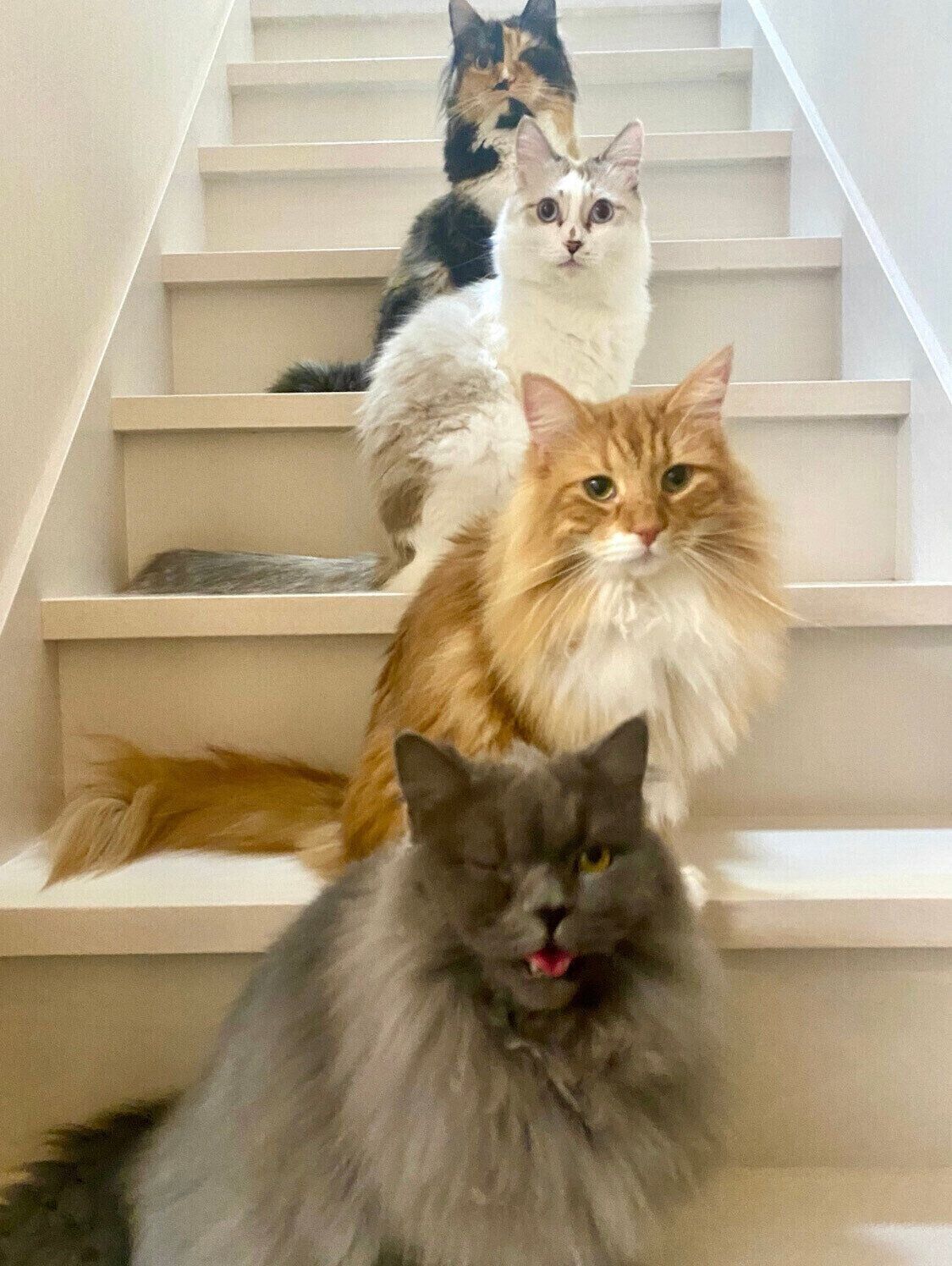 縦に揃った奇跡の1枚