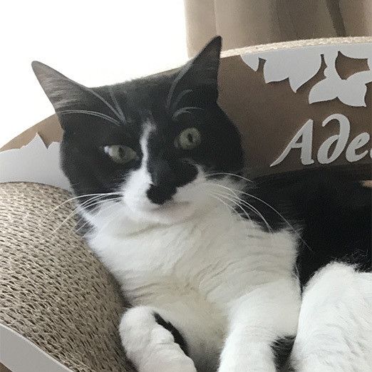 リュックとソラの恋愛事情