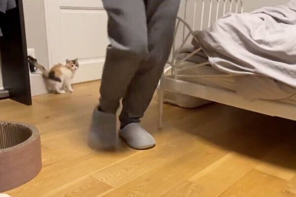 甘えるうなぎちゃん