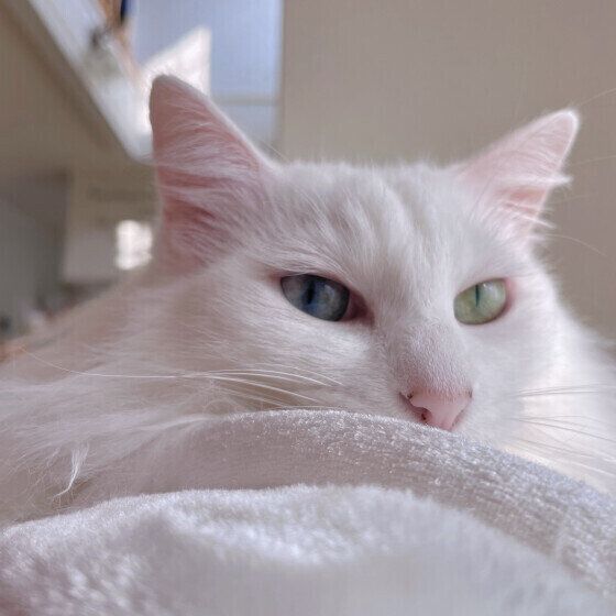 Mix（白）の果南ちゃん♪