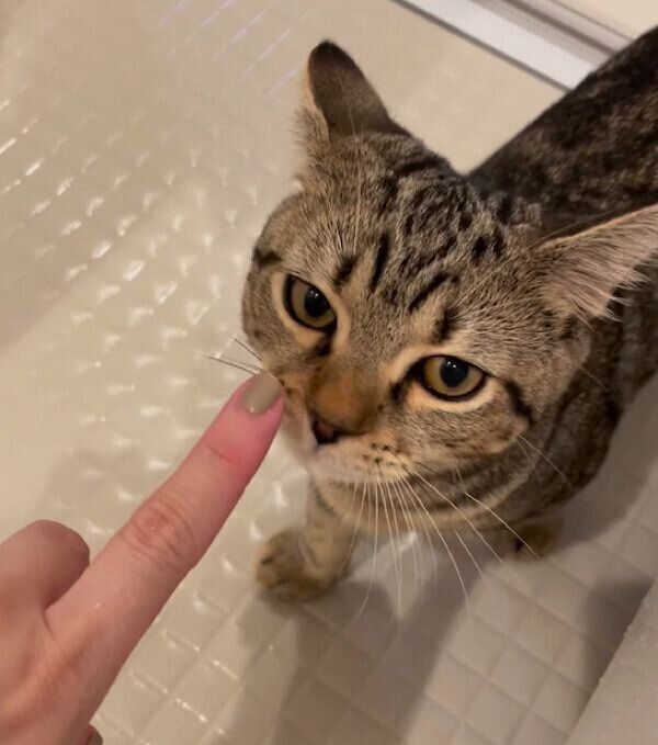 お風呂場の中に入ってくるまっちゃくん