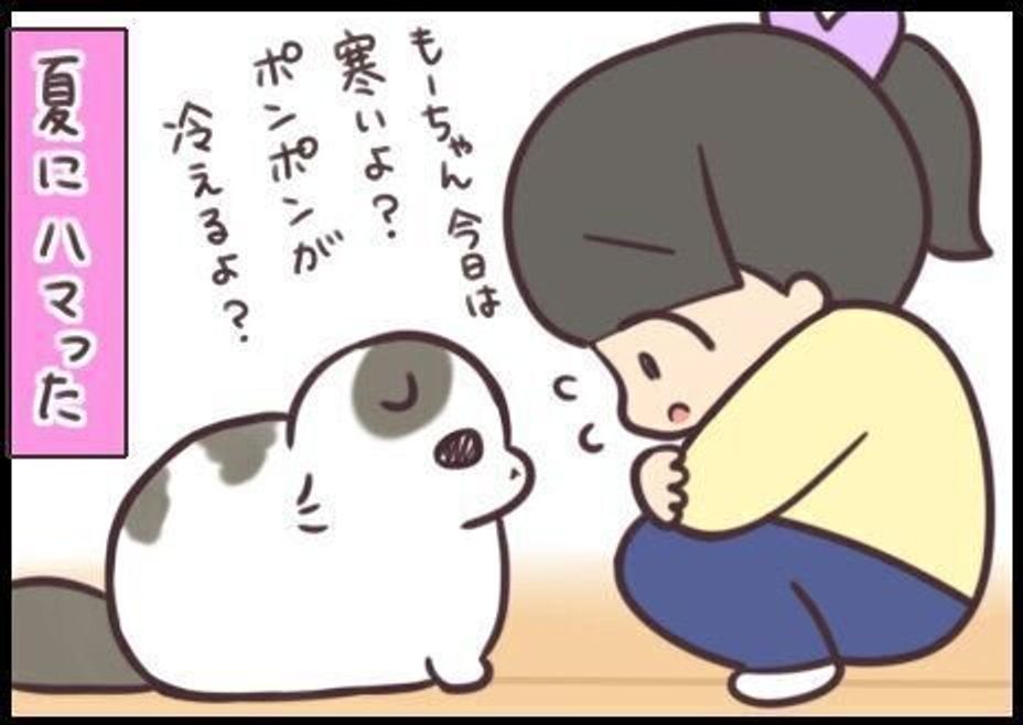 ポコポコ が合図 暖かさを熱望する猫もいれば 冷たさを要求する猫もいる 連載 もふもふスコたん 9 ねこのきもちweb Magazine ポコポコ が合図 暖かさを熱望する猫もいれば 冷たさを要求する猫もいる 連載 もふもふスコたん 9 ねこのきもちweb Magazine