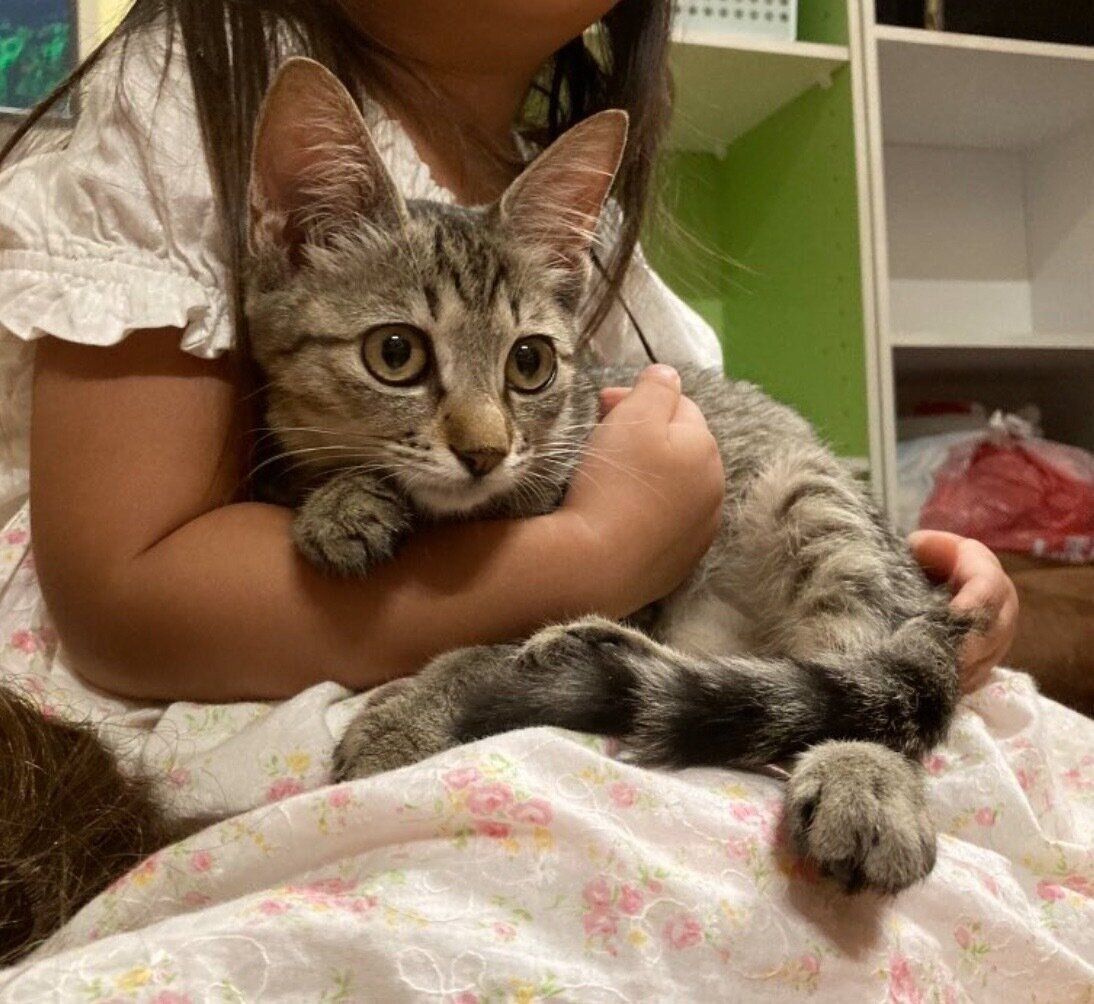 娘さんに抱っこしてもらう楓花ちゃん