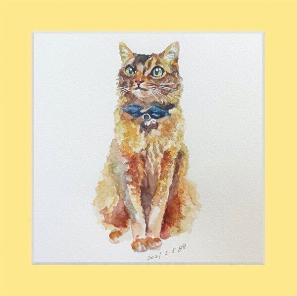 つじさんの愛猫水彩画作品