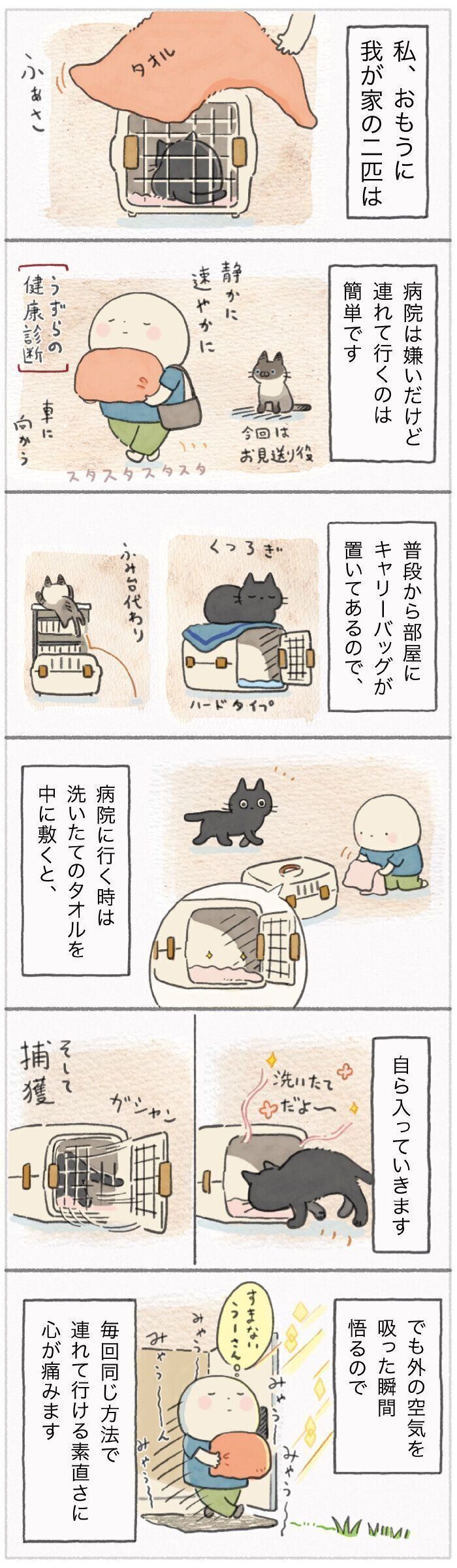 「ねこ連れ草」192話め