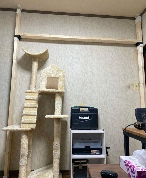 キャットウォークをDIY