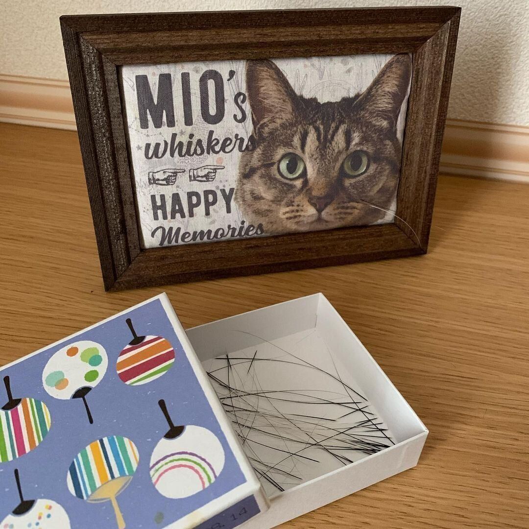 愛猫・美緒ちゃんのお顔のクッションフレーム