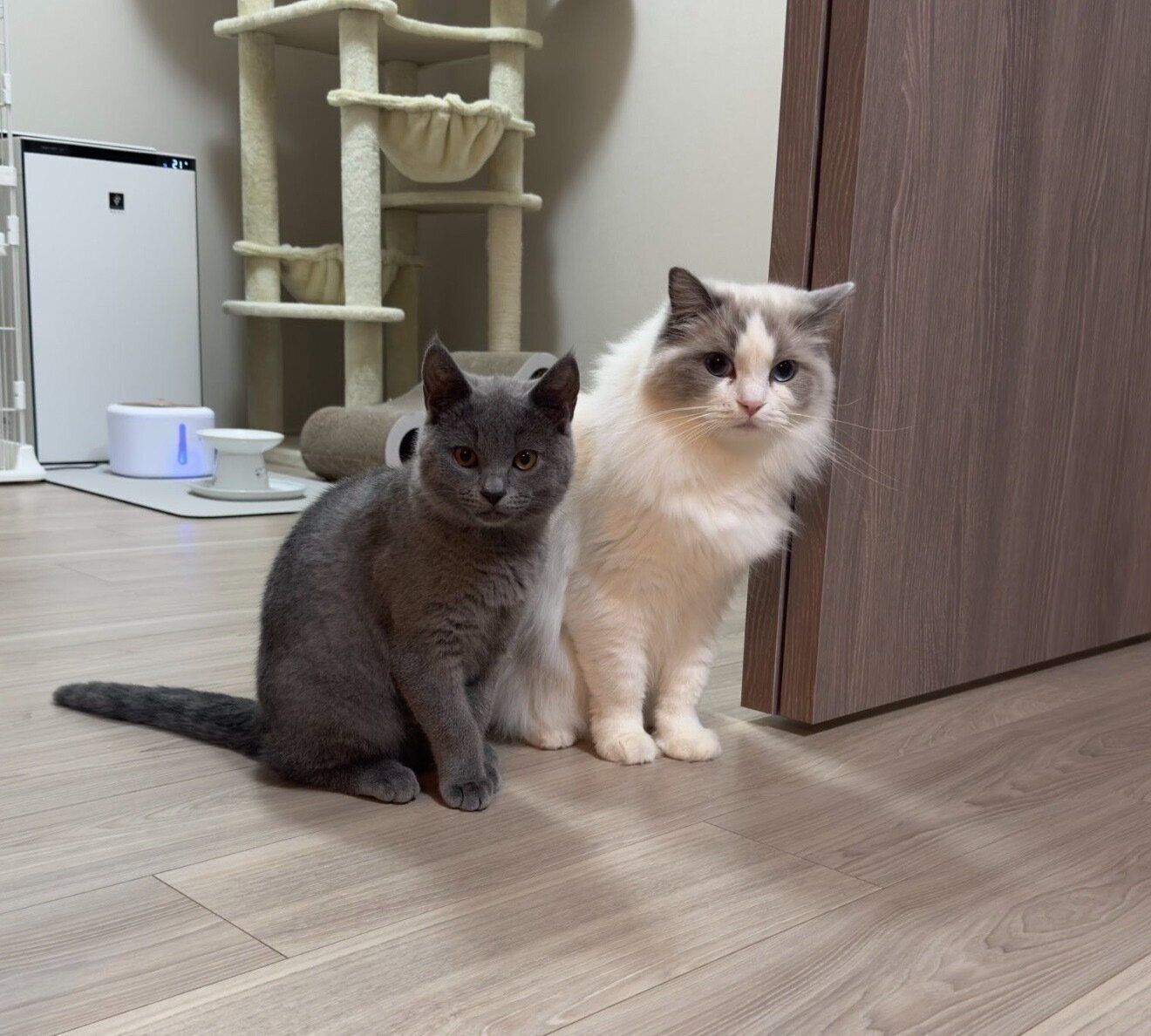 仲良しなララちゃんとロミオくん