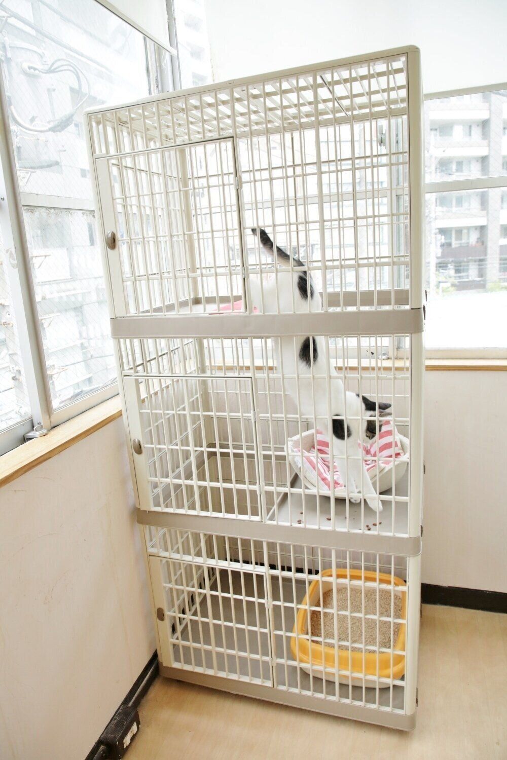 撮影／尾﨑たまき