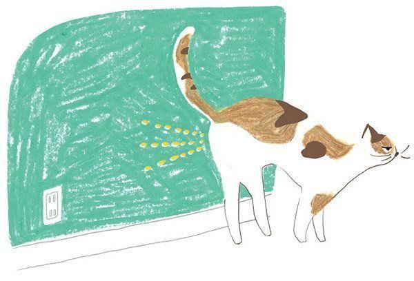 マーキングする猫