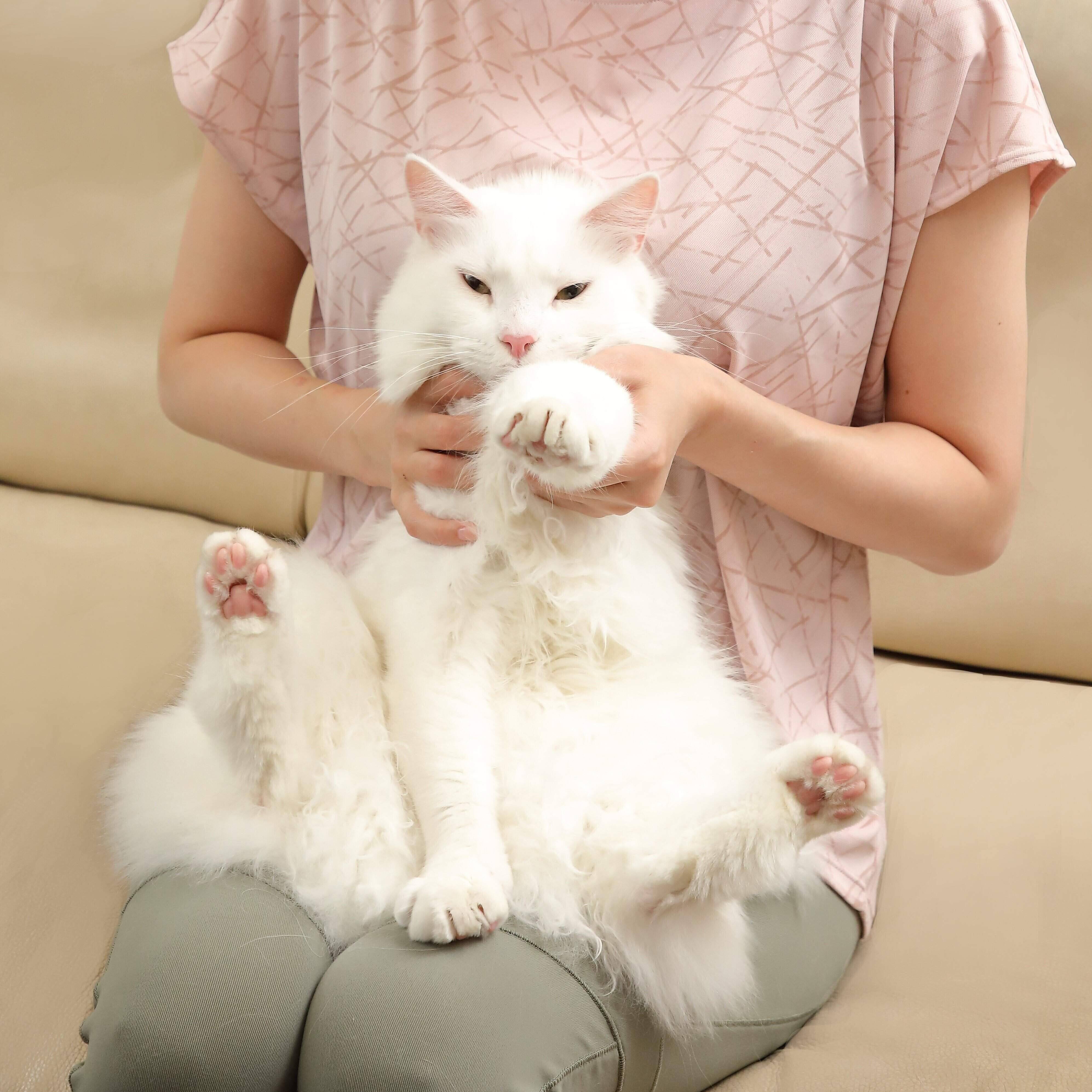 撮影／尾﨑たまき