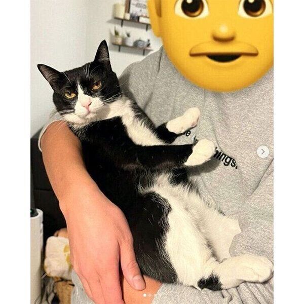 パパさんに抱っこされて固まるぽんずちゃん