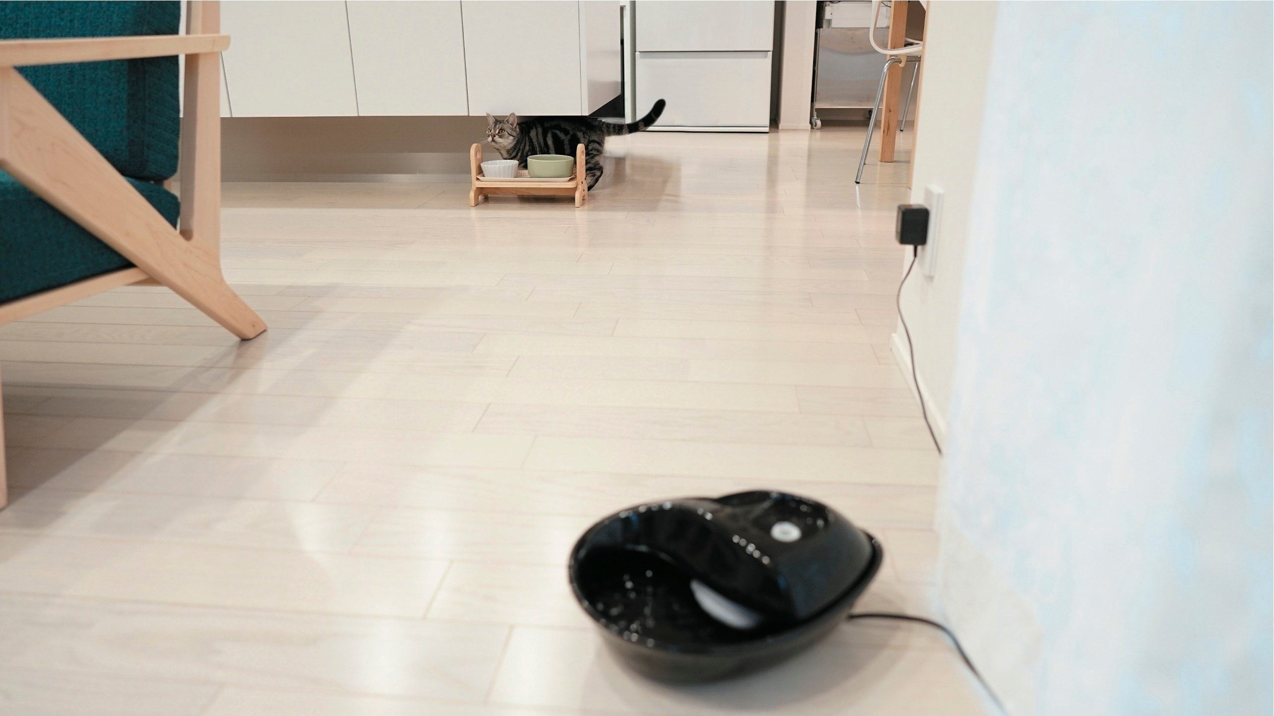 撮影／石原さくら