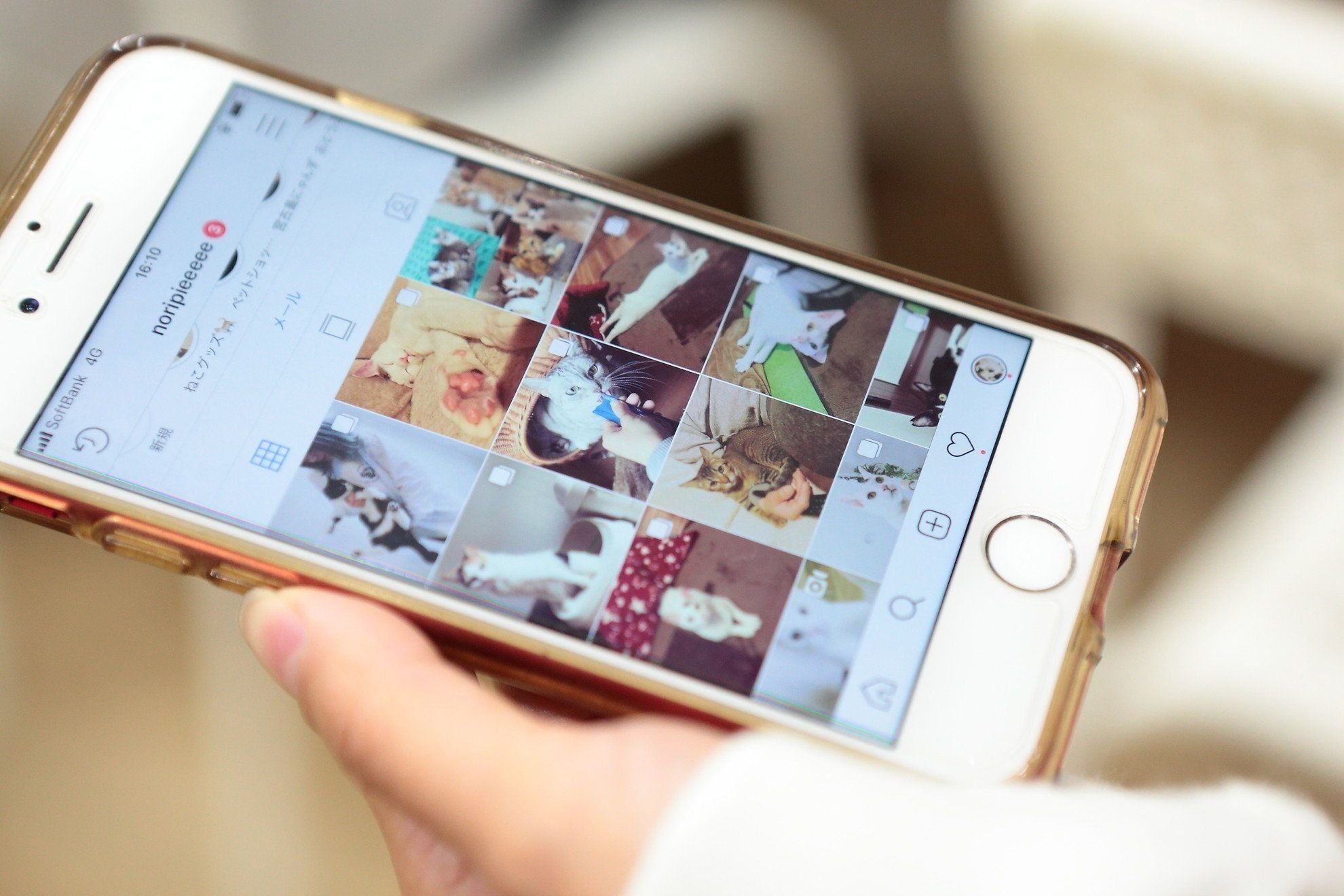 撮影／佐藤純子