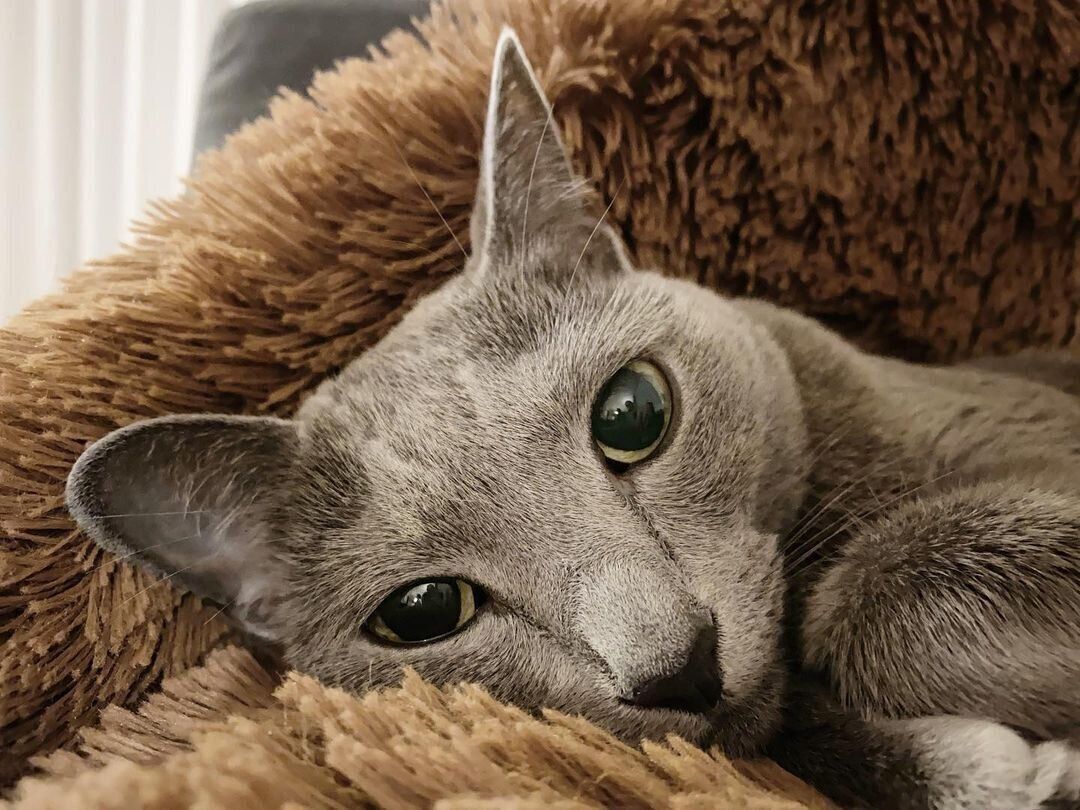 どアップのSophiaちゃん