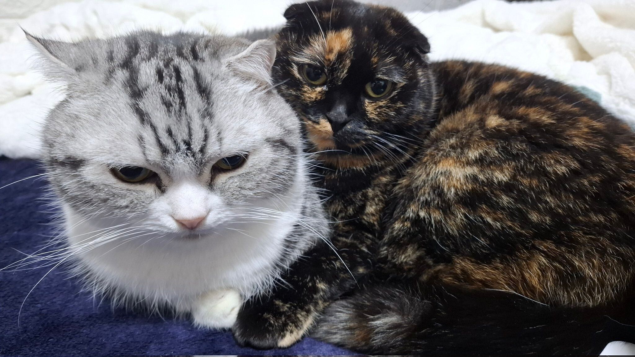 まるくんにくっつくうなぎちゃん