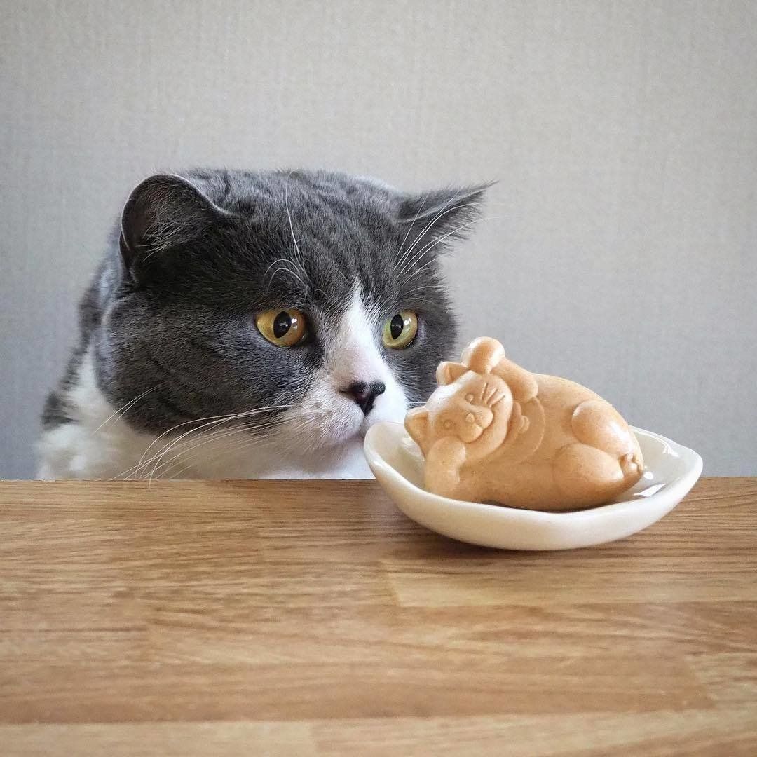 たらふくもなか