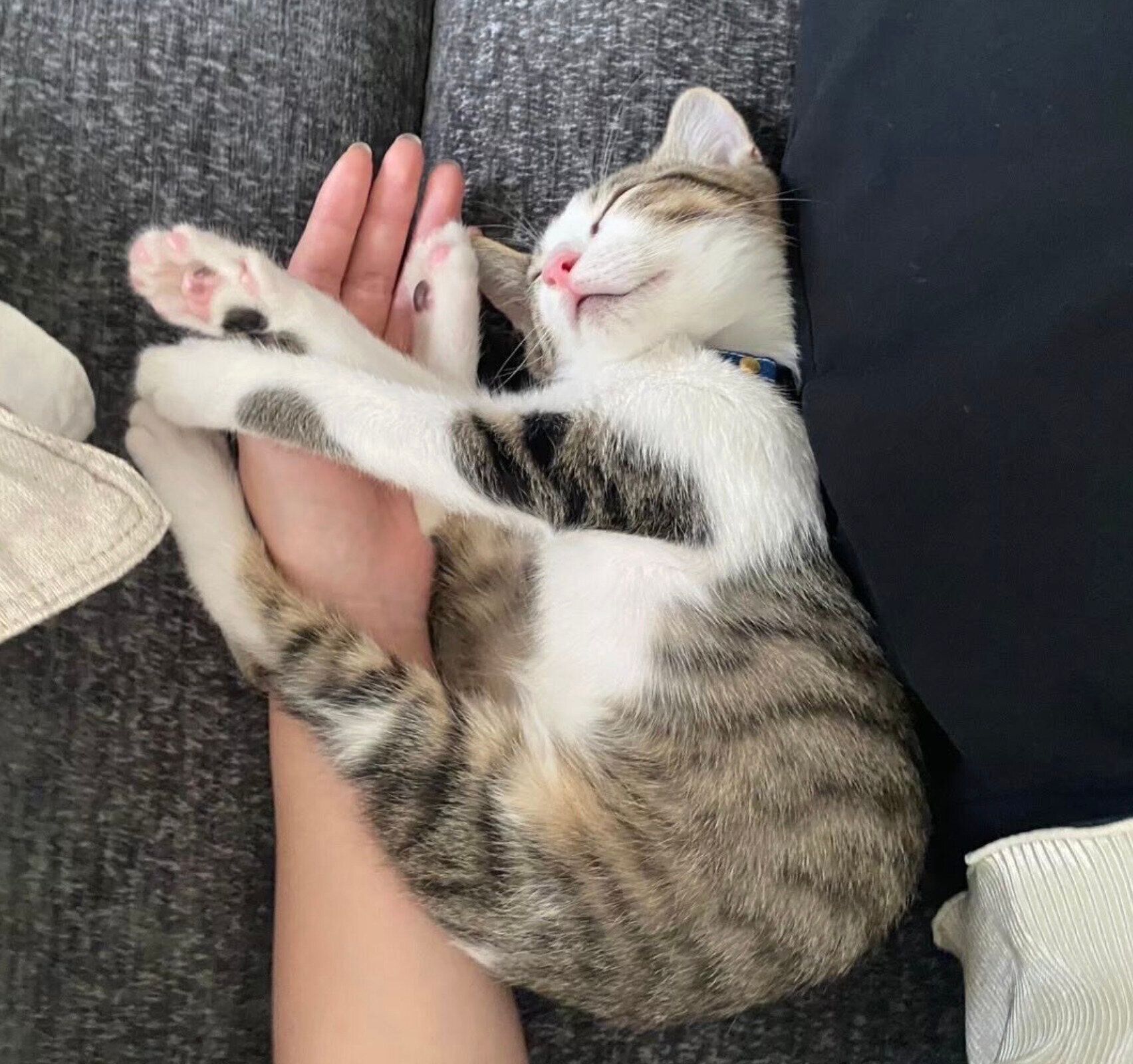 生後3カ月ごろの杏忍くん