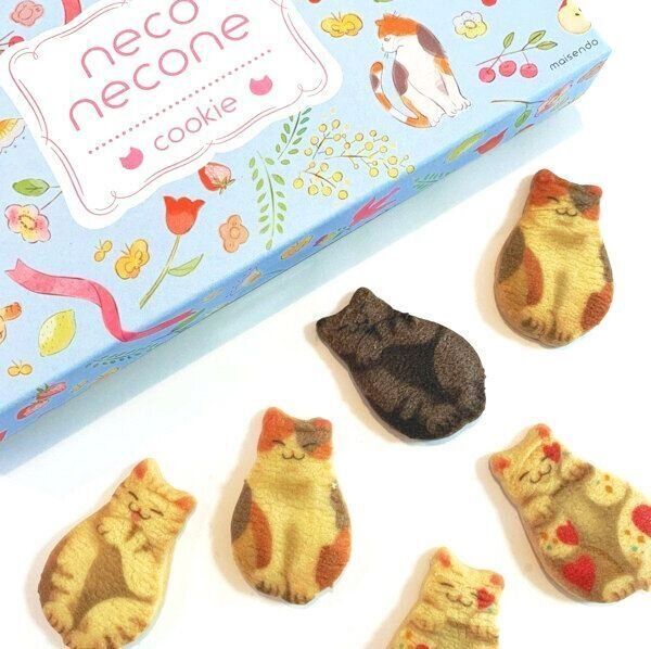 「京都まいこと」の猫さんくっきー