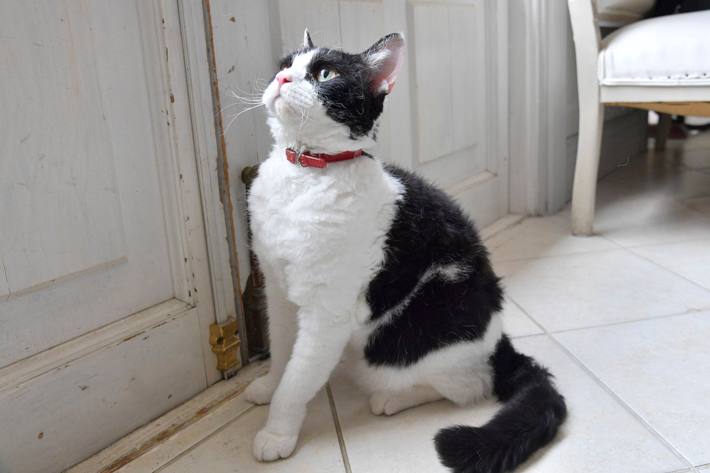 撮影／熊谷仁男