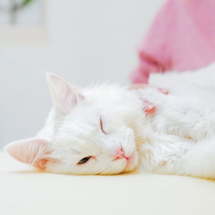 撮影／中川文作