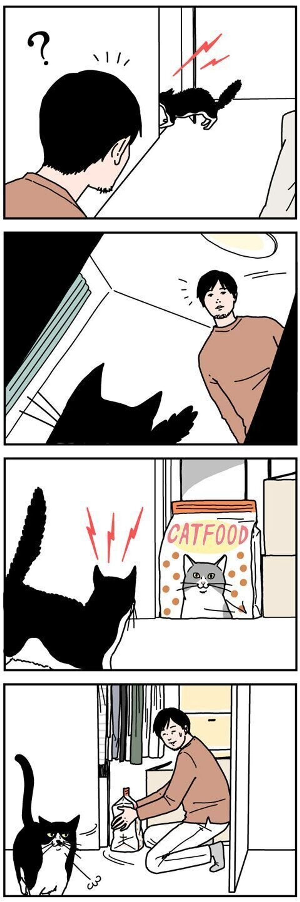 猫だって勘違いする 男の猫道 ねこのきもちweb Magazine限定話 Vol 172 ねこのきもちweb Magazine 猫だって勘違いする 男の猫道 ねこのきもちweb Magazine限定話 Vol 172 ねこのきもちweb Magazine