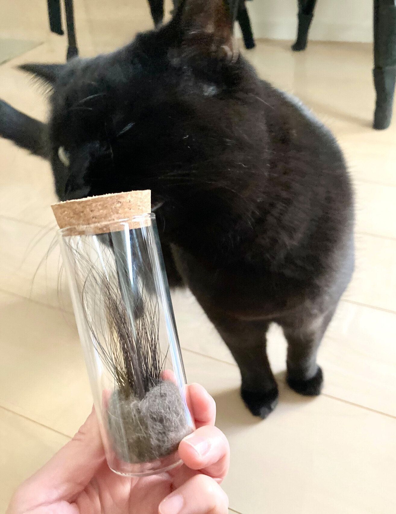 自分のヒゲが入ったビンのニオイを嗅ぐたきびくん