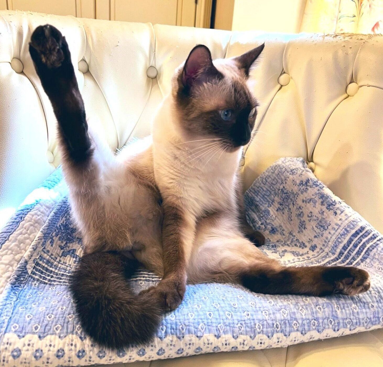 足が長いなみちゃん