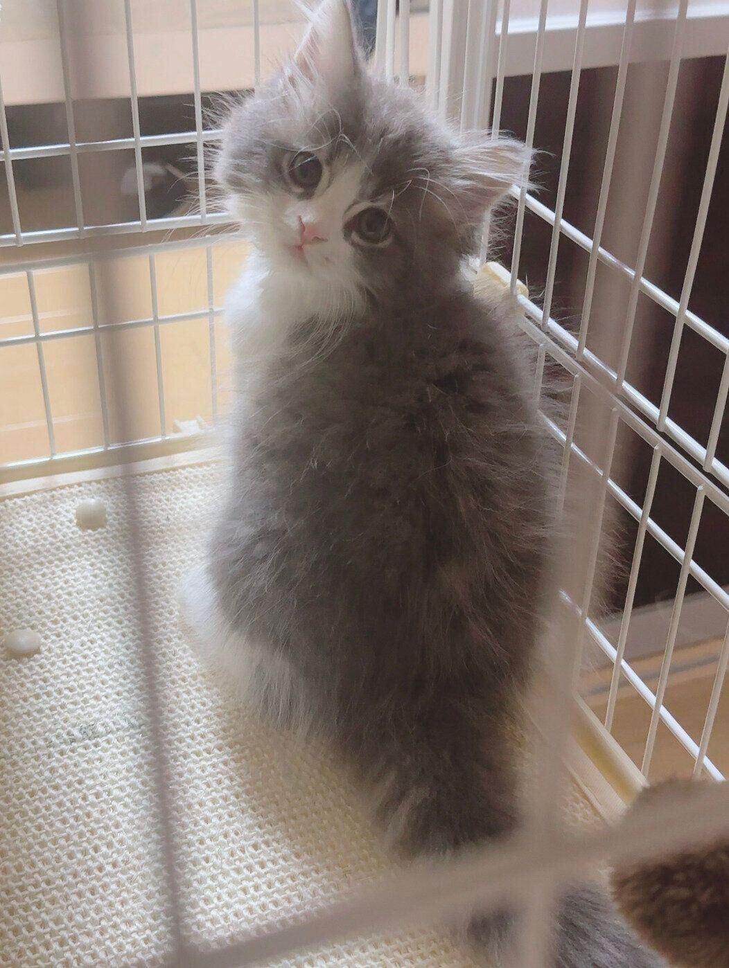 振り向くたおくん