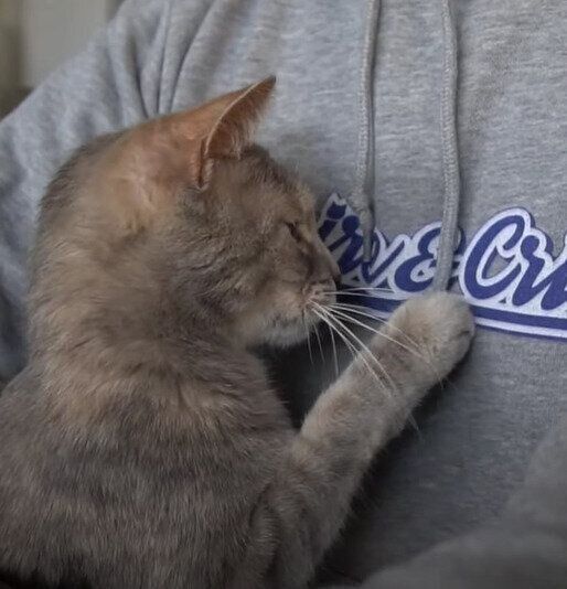 抱っこされるクリエちゃん