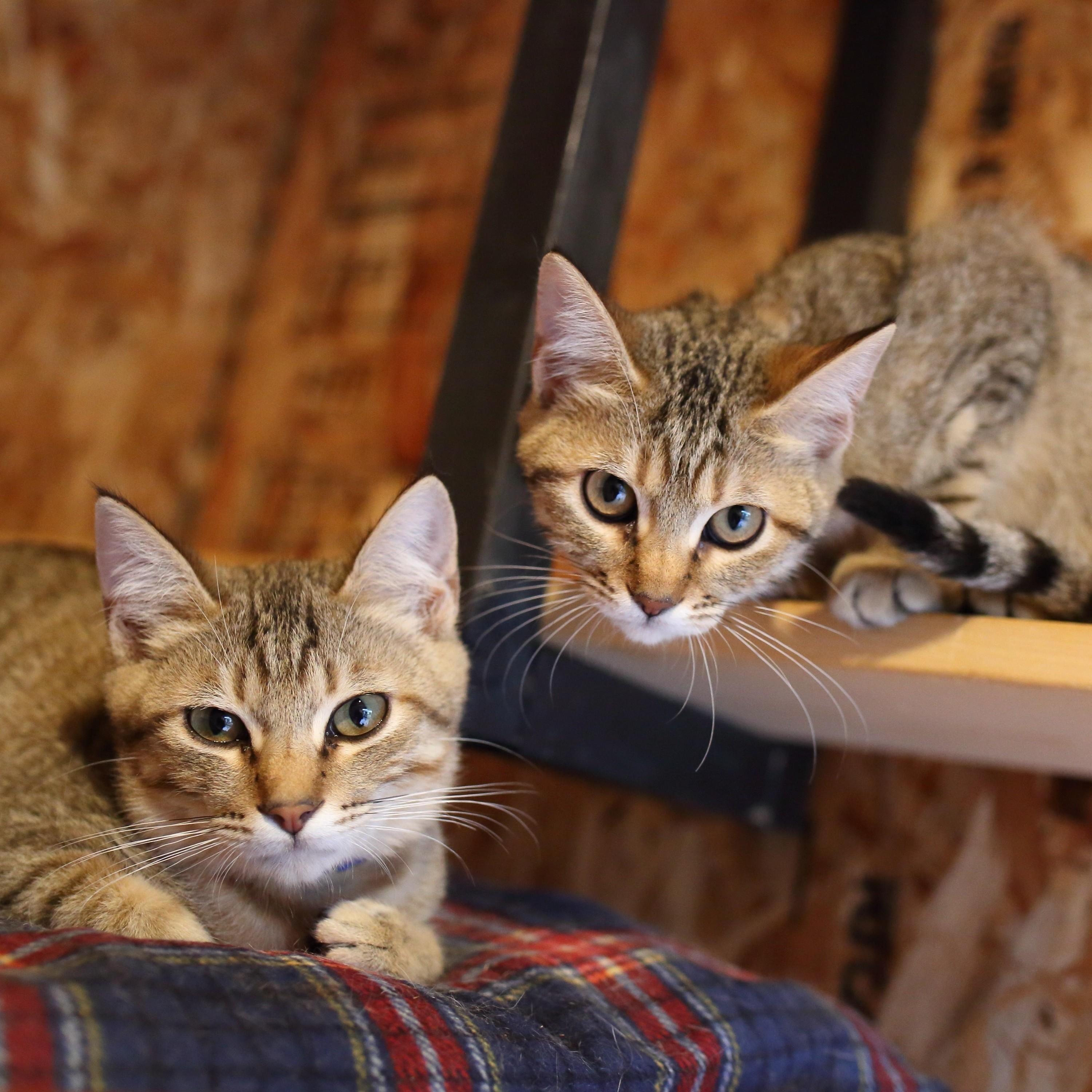 撮影／尾﨑たまき