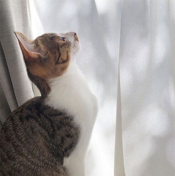 外を眺める椋くん