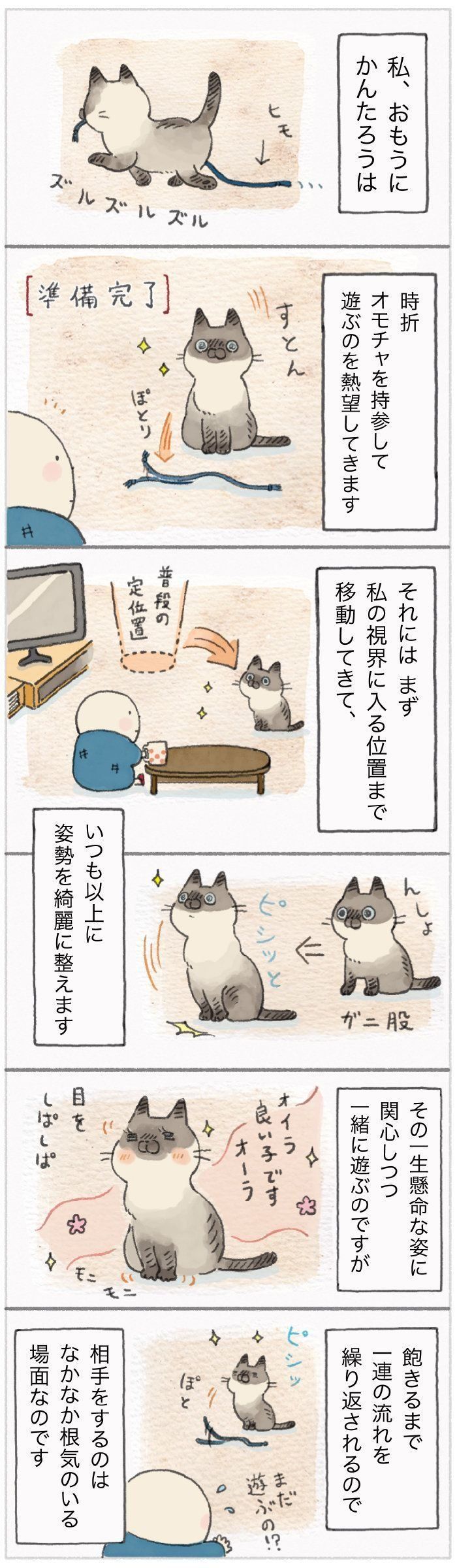「ねこ連れ草」105話め