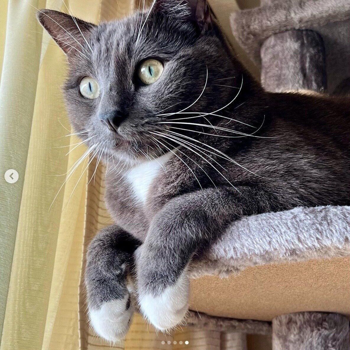 まったりするハルくん