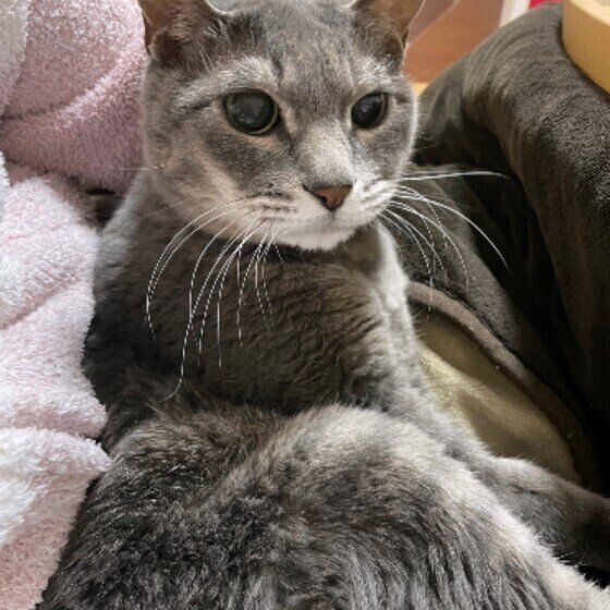 こたろうくん　17才