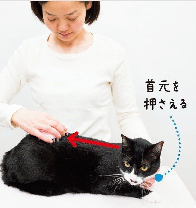 撮影／中川文作