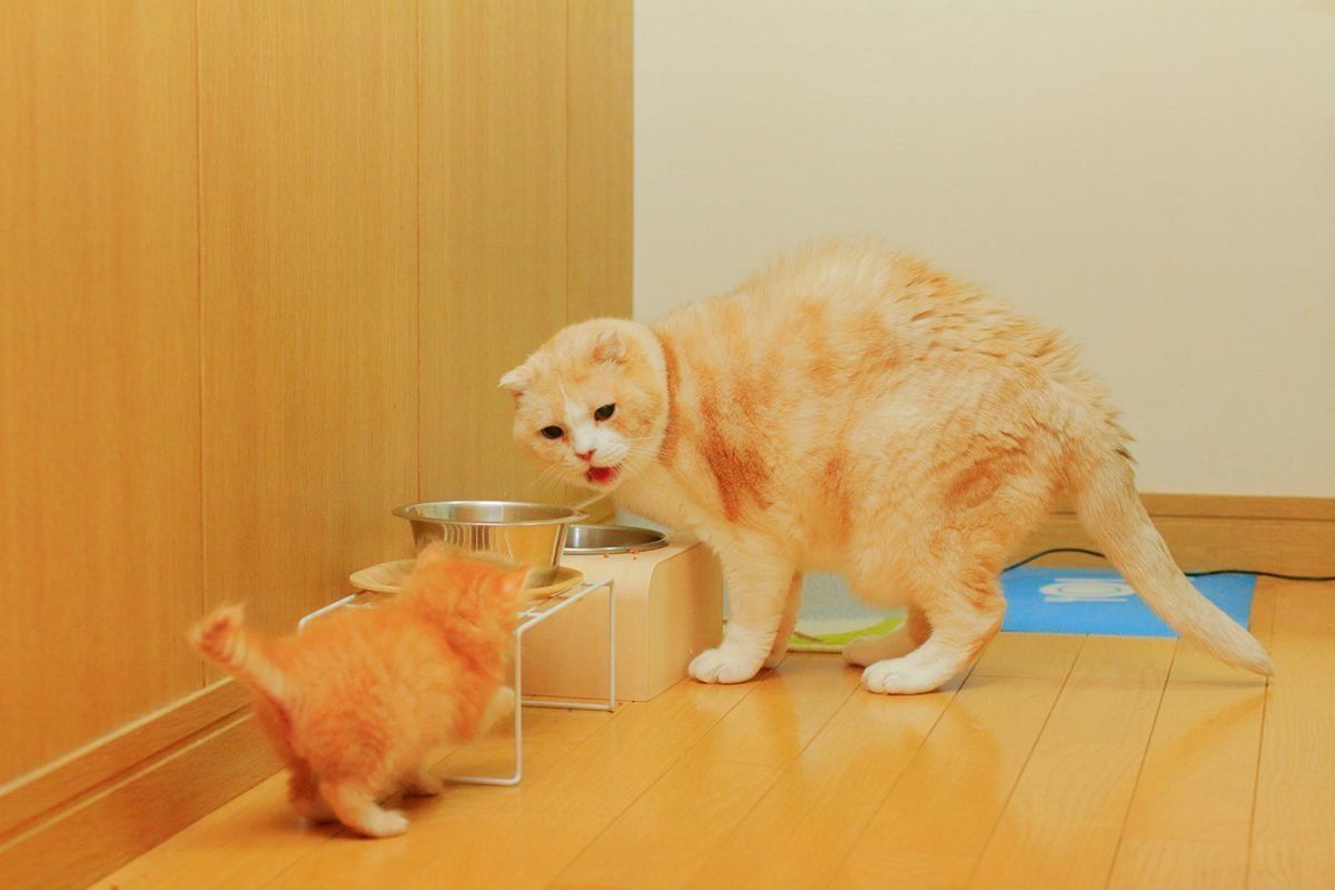 撮影／ケニア・ドイ