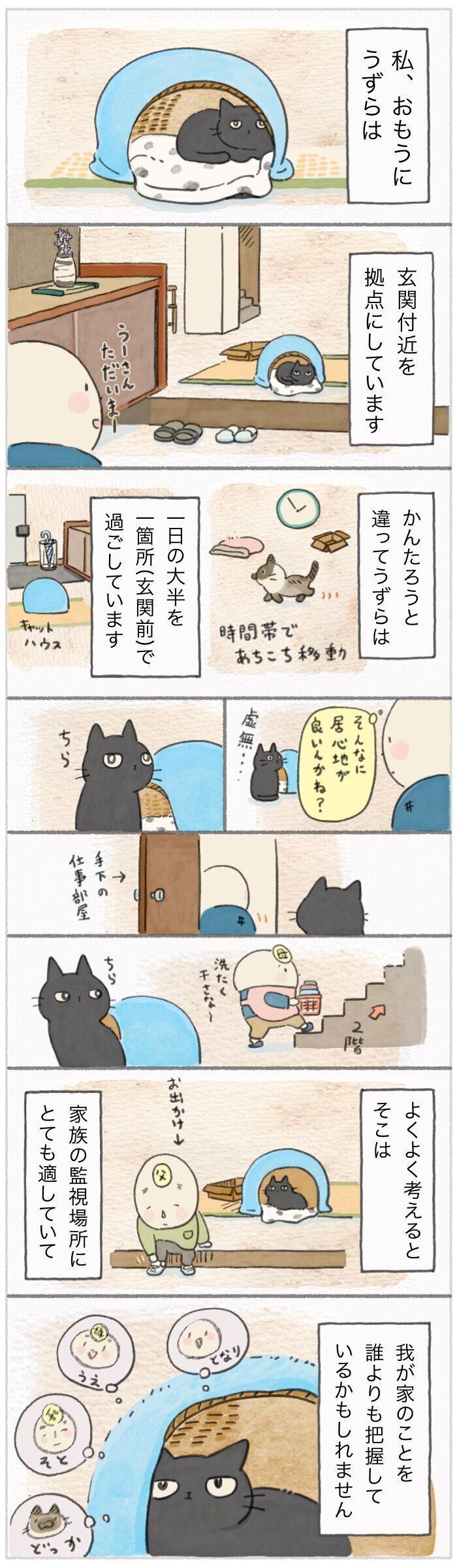 「ねこ連れ草」251話め