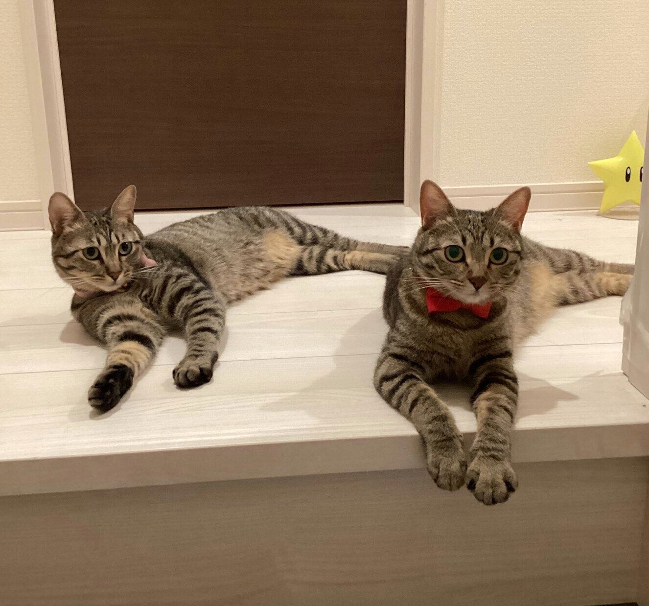 まったりするらんらんちゃん、るんるんちゃん