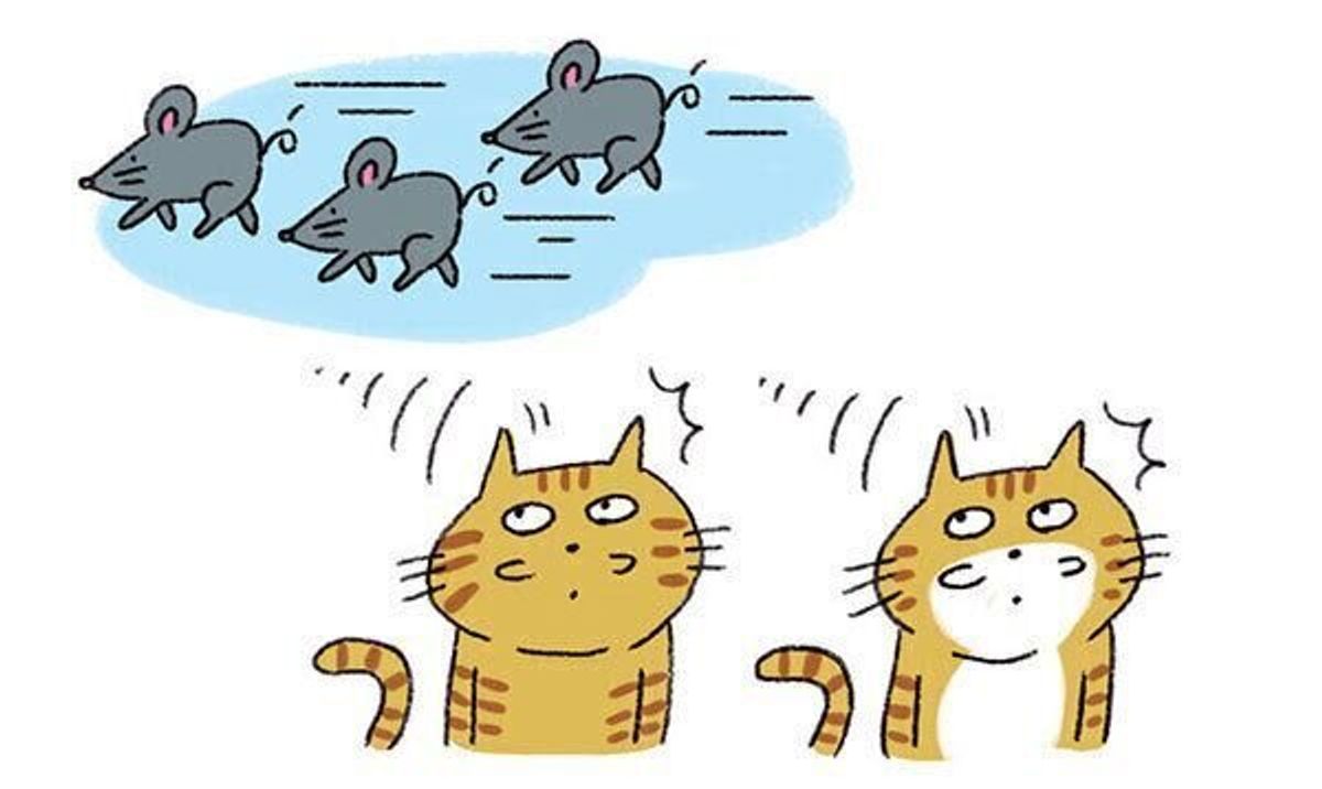 ケケケと鳴く 寝言をいう 猫が見せる 5つの怪奇行動 のホントの理由 ねこのきもちweb Magazine ケケケと鳴く 寝言をいう 猫が見せる 5つの怪奇行動 のホントの理由 ねこのきもちweb Magazine