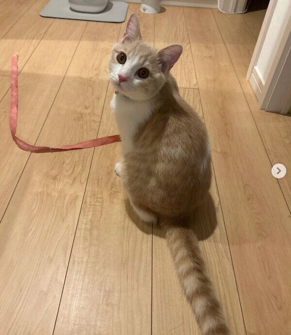 お風呂に入っているママさんのことを出待ちするなるとくん